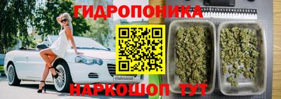 мдпв Янаул