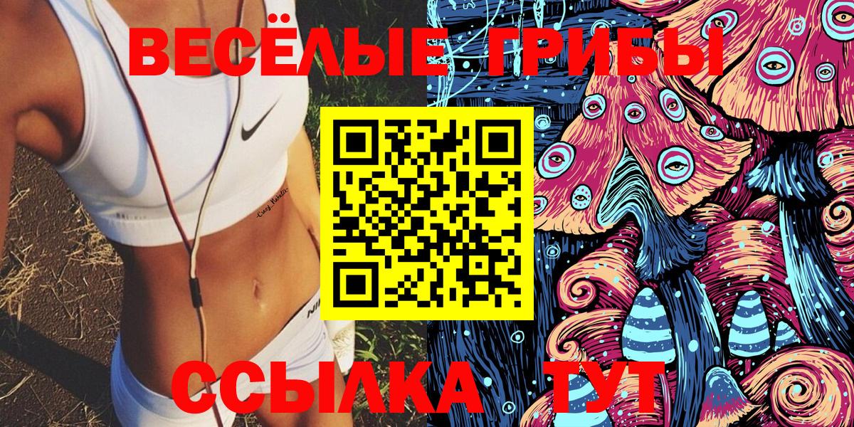 Псилоцибиновые грибы прущие грибы  Вход с VPN  Артём  Псилоцибиновые грибы прущие грибы 